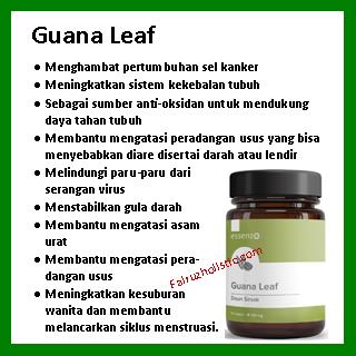 Essenzo Guana Leaf